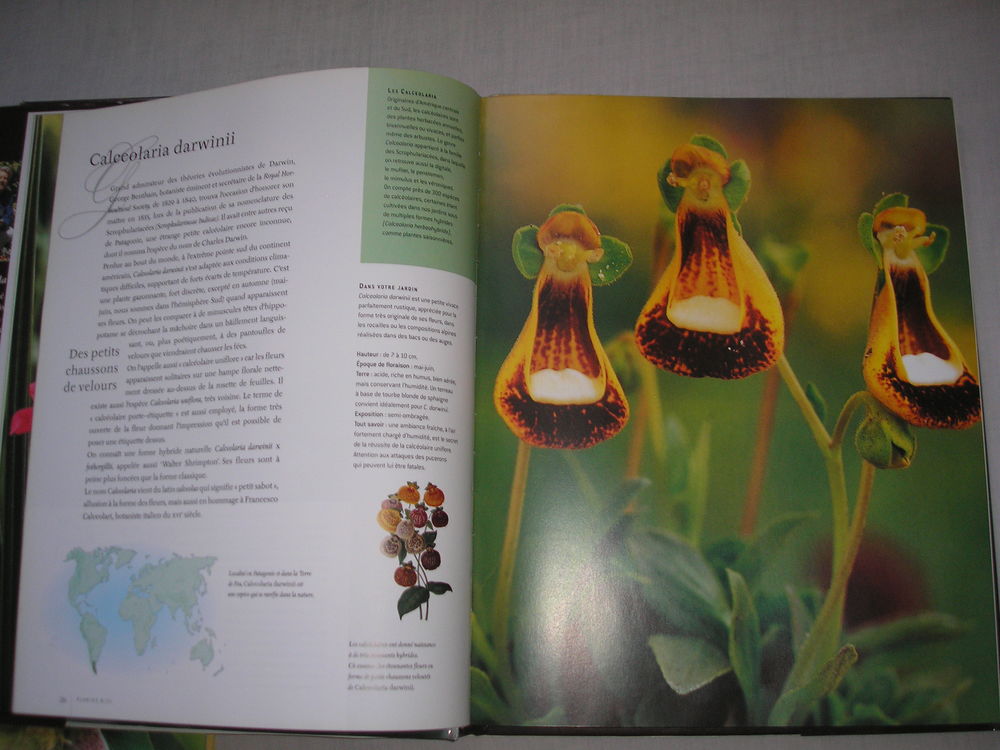 Plantes extraordinaires Livres et BD