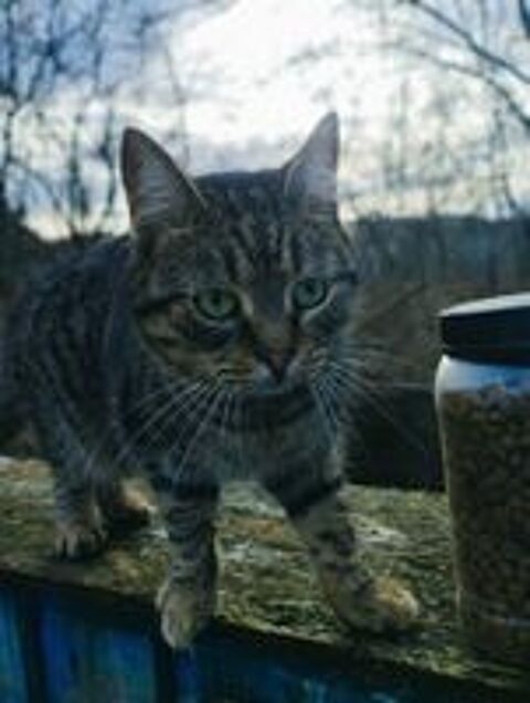   O'MALLEY 