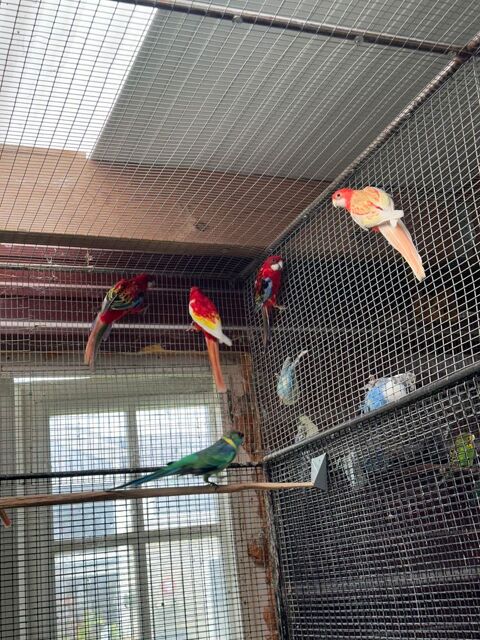 Omnicolores m&acirc;les 80 24000 P�rigueux