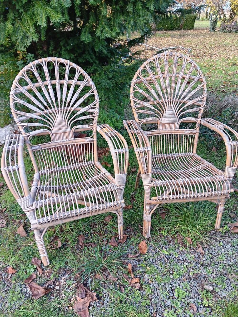 paire de fauteuils en rotin Décoration