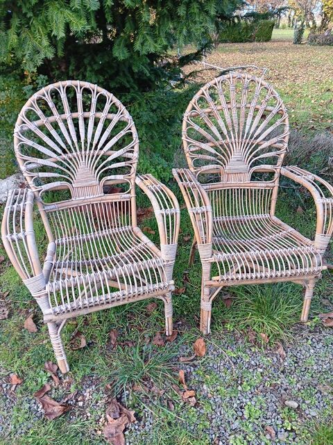 paire de fauteuils en rotin 100 Corzé (49)