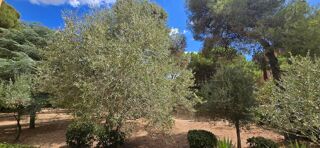  Appartement  vendre 3 pices 55 m