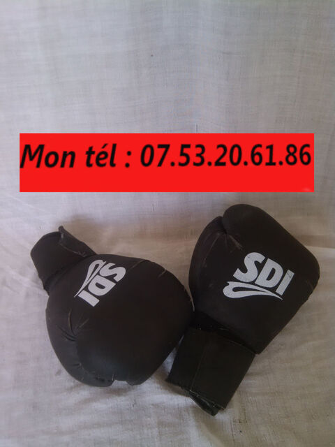 Gants de boxe SDI 10 Marseille 10 (13)