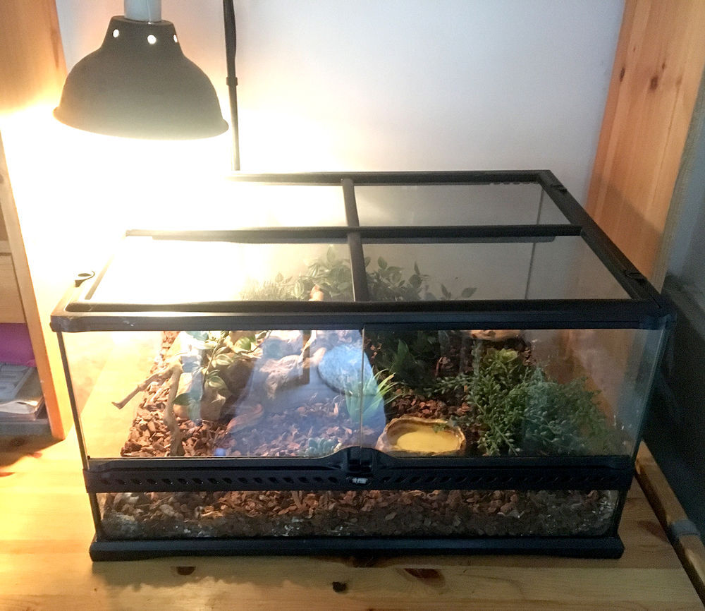 Terrarium &eacute;quip&eacute; pour serpents des bl&eacute;s Meubles