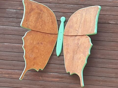 Trs beau papillon en bois
50 Cahors (46)