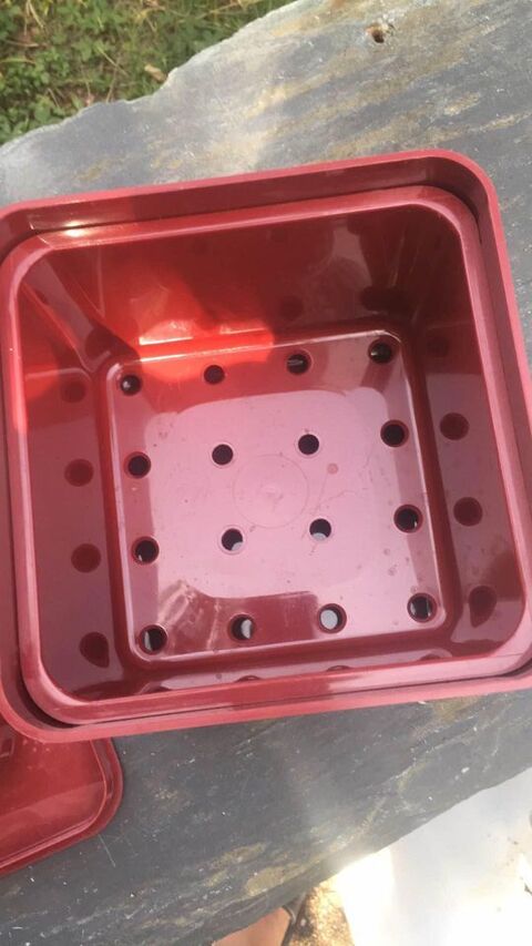 Sceau � gla�on Johnny Walker
25 Castres (81)