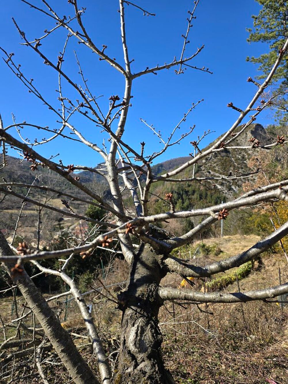 Vente Terrain Terrain de 422 m2 non constructible en zone naturel ND O086, Veynes