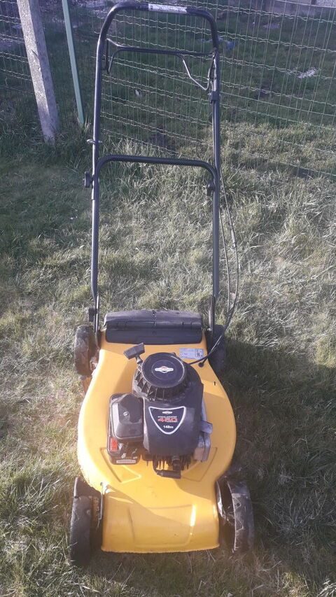 Tondeuse thermique BRIGGS & STRATTON. 56 Flers-en-Escrebieux (59)