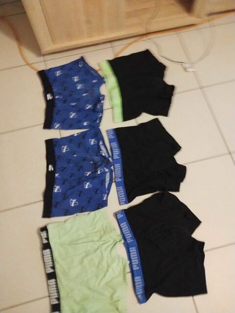 boxer 10 Le Pin-la-Garenne (61)