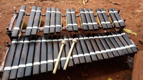 Balafon africaine 700 Montpellier (34)