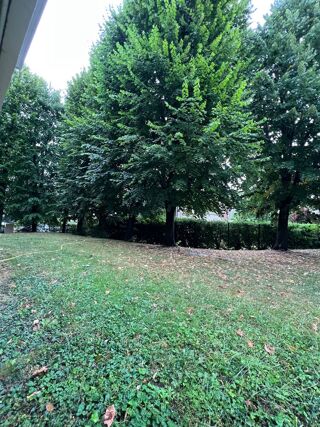  Appartement à louer 1 pièce 15 m² Saint-cloud