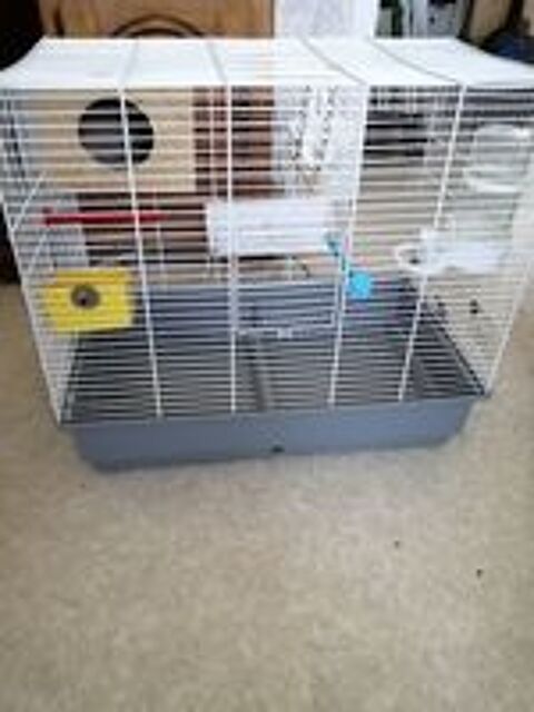    cage petit oiseaux  