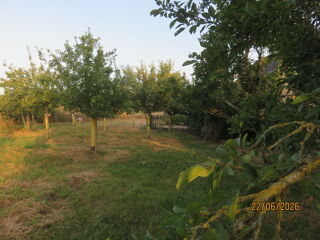  Maison à vendre 5 pièces 100 m² Grez-neuville