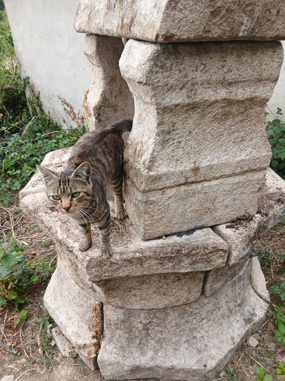 PUITS GRANIT VIEUX r&eacute;gion Bretagne Jardin