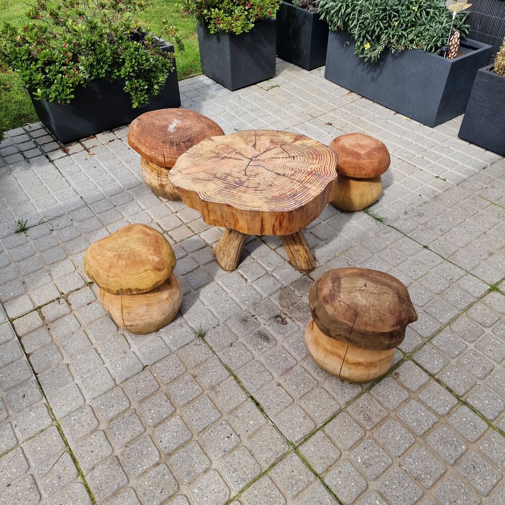Salon de jardin design. Jardin