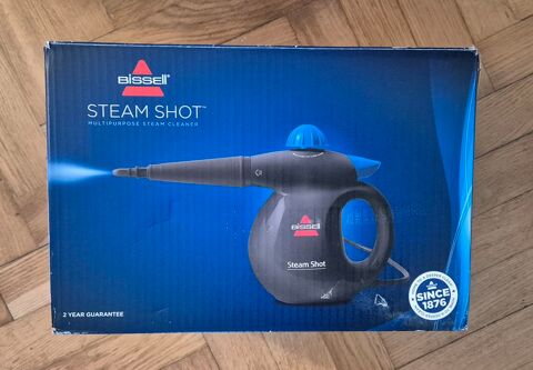 Nettoyeur vapeur bissel 30 Antony (92)