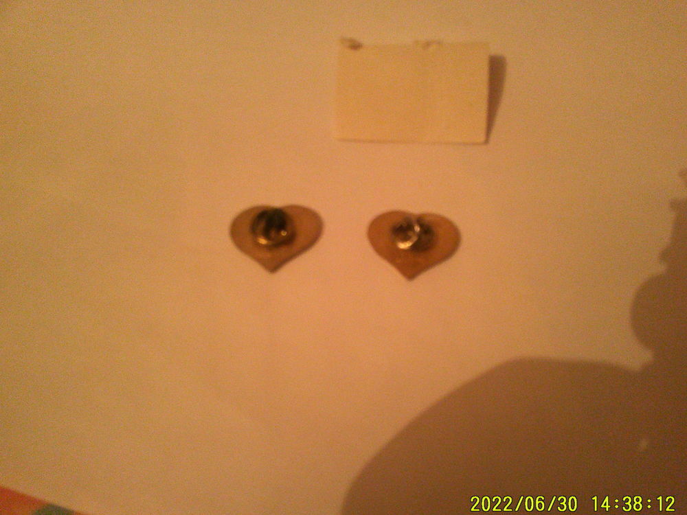 ( 2 ) PIN'S . " J' AIDE LE ROTARY " 