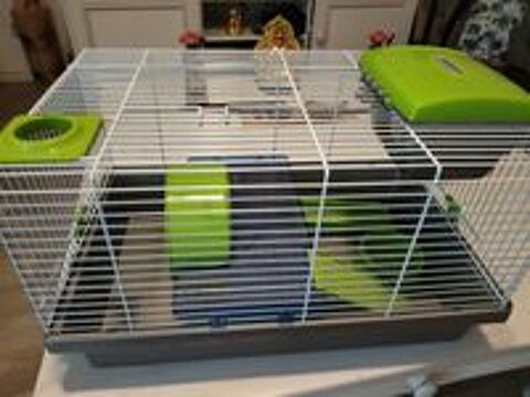   Cages à hamster  