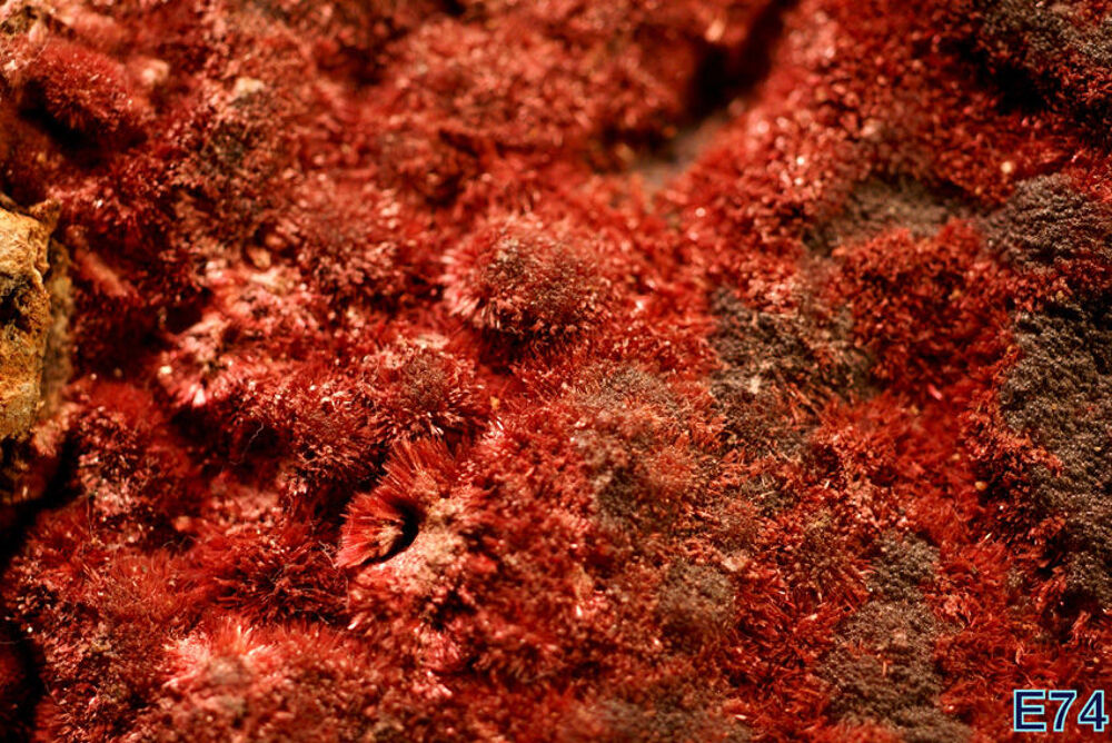 ERYTHRINE - MINERAUX DE COLLECTION 