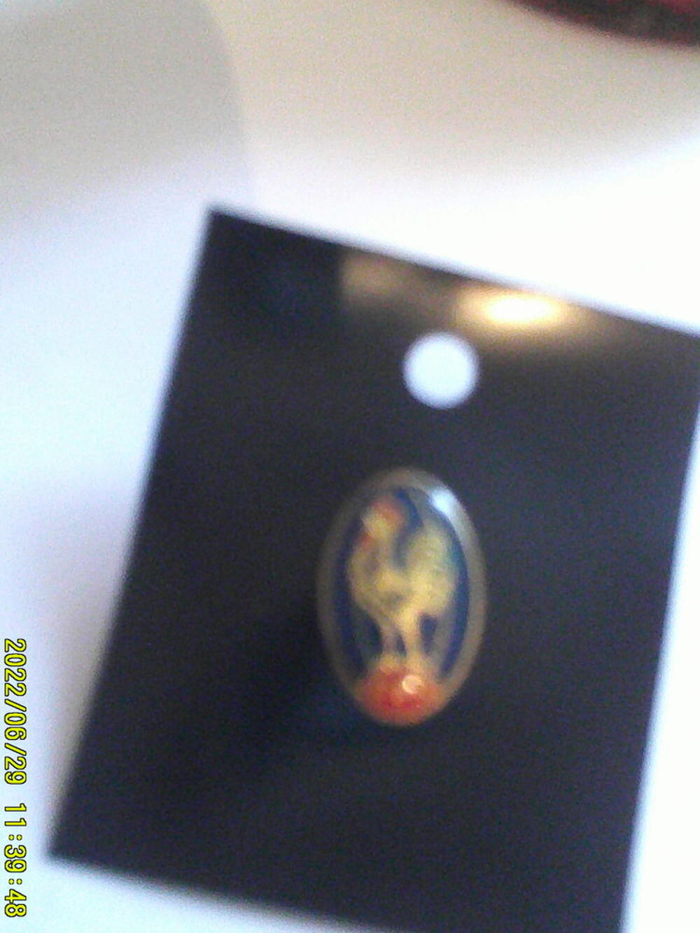Beau PIN'S de la " F.F.R " 