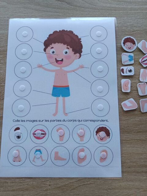 Montessori le corps humain 4 Hrouville-Saint-Clair (14)