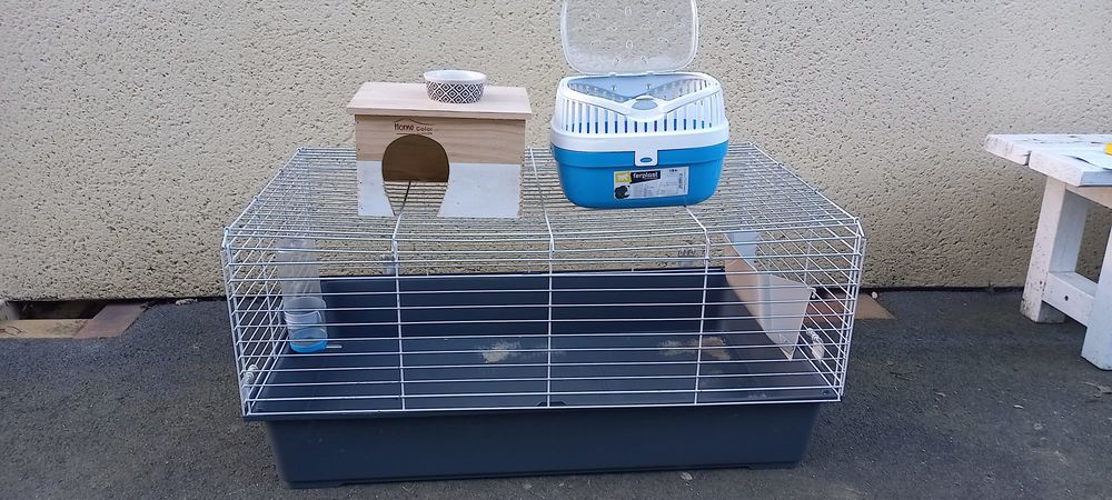   Cage rongeur  