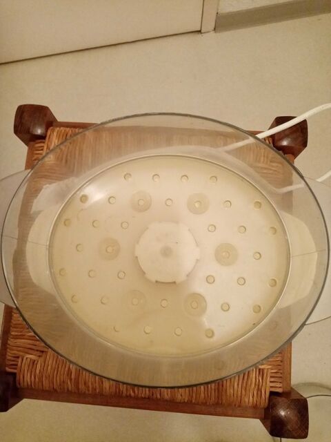 Cuit Vapeur , jaune transparent 12 Basse-Goulaine (44)