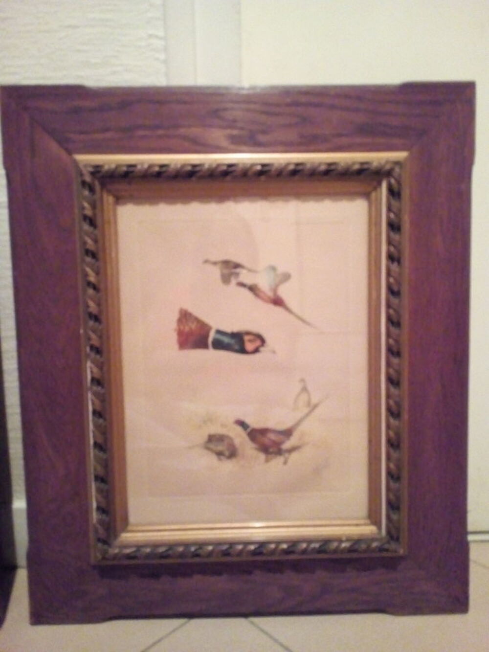 Lithographie animali&egrave;re t&ecirc;tes de faisan 