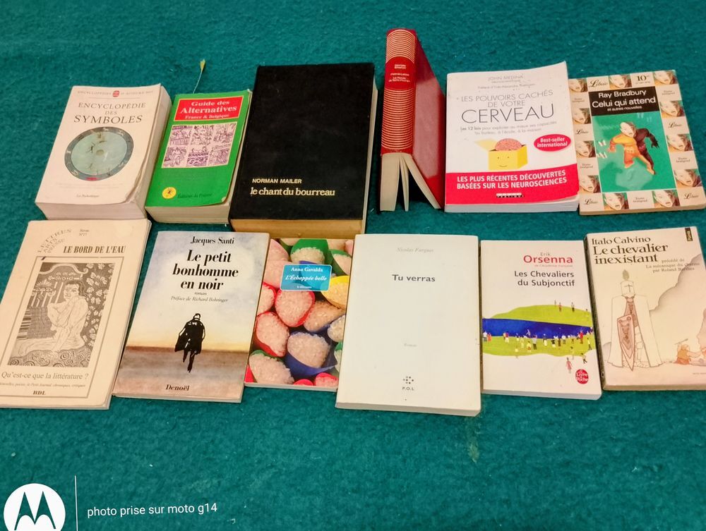 Livres, romans, divers, vendus en lots de 5, au choix Livres et BD