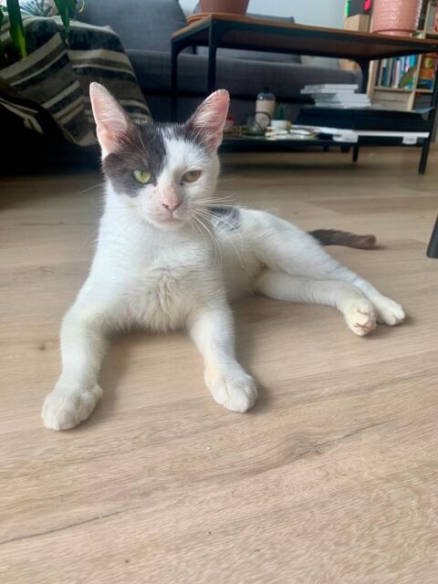 Hachigatsu 230 44000 Nantes