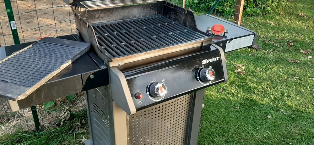 Barbecue gaz weber Jardin