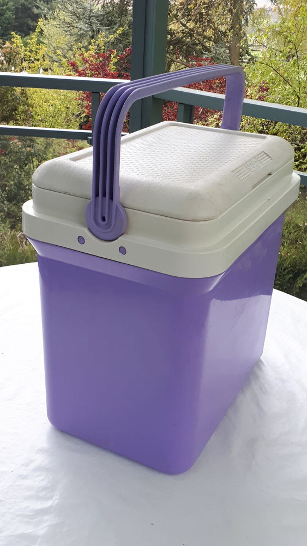 Glaci&egrave;re 24 litres avec 1 pain de glace Jardin