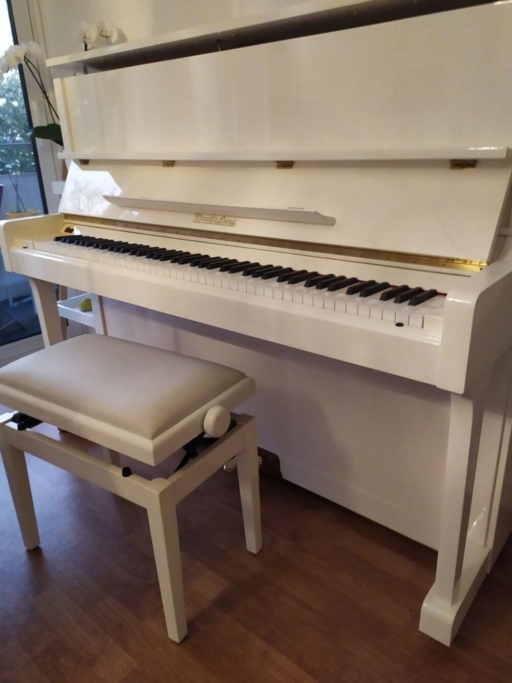 Piano acoustique droit Wendl et Lung Instruments de musique
