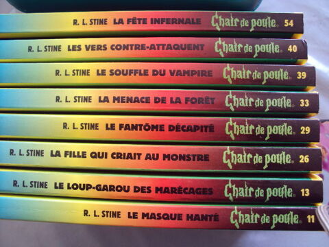 livres chair de poule 2 Yainville (76)