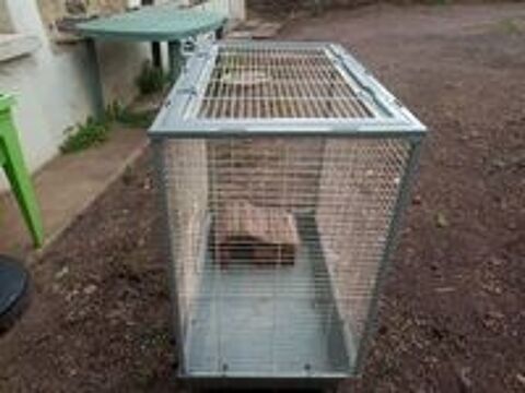   cages  