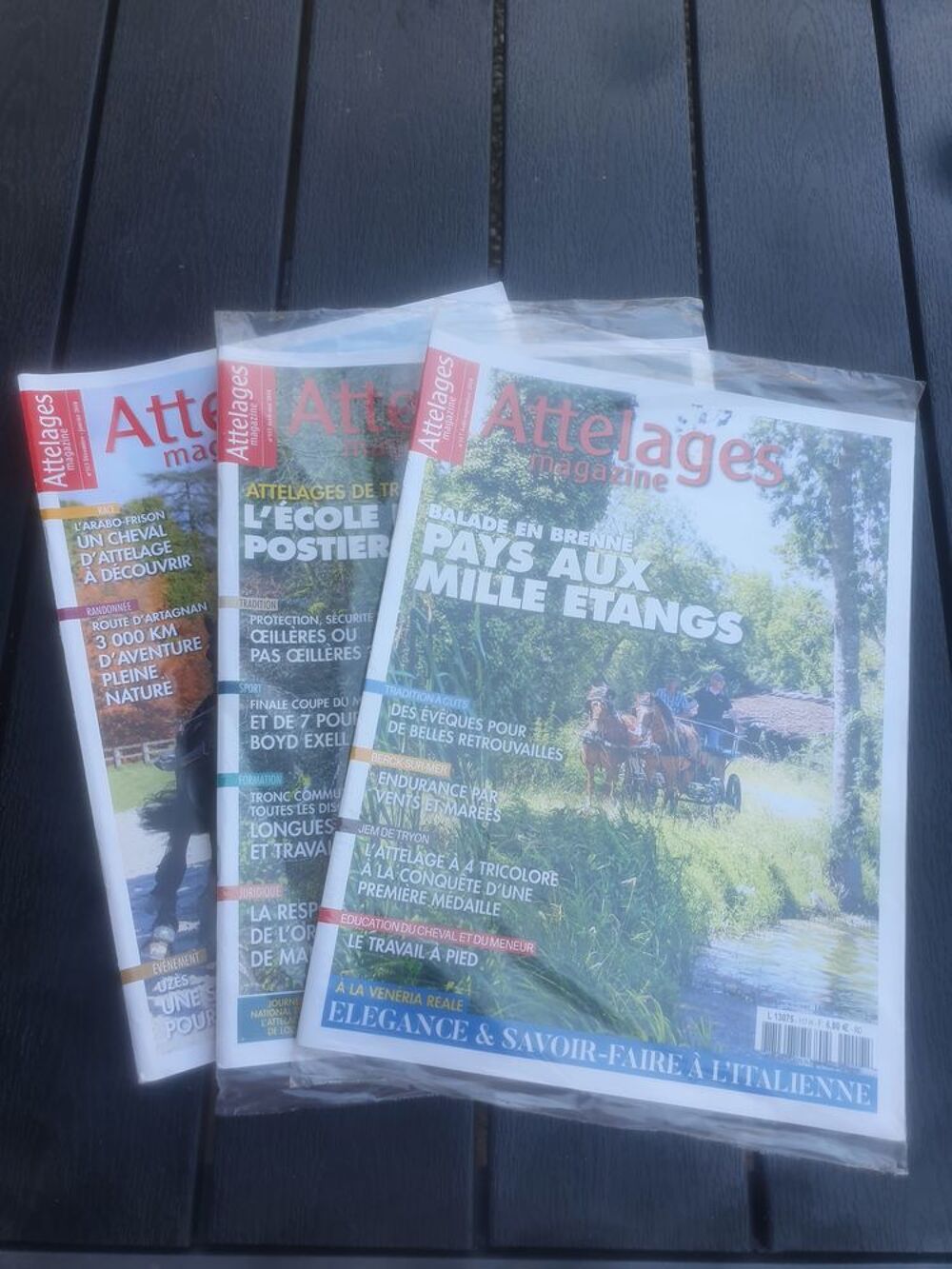 Revues attelages neuves Sports