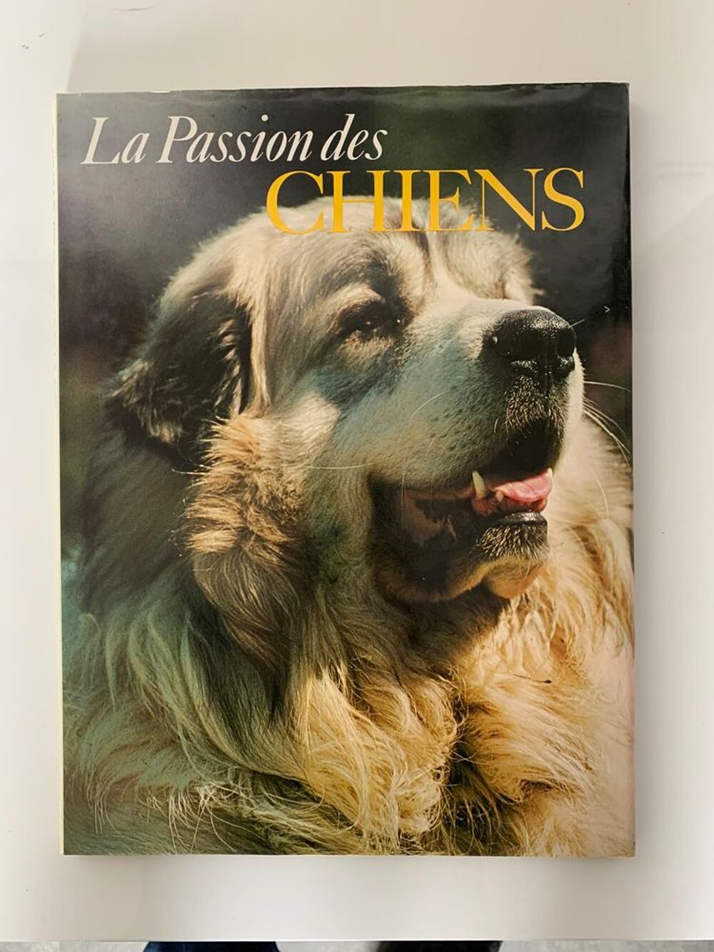 La passion des chiens. Livres et BD