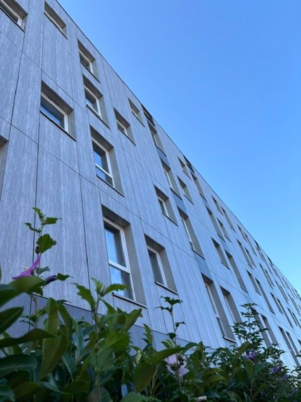 Location Appartement DIRECT PROPRIO  ANZIN
T 1 neuf 2 PARKINGS Anzin