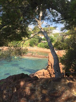  Appartement � louer 2/3 pi�ces 37 m�