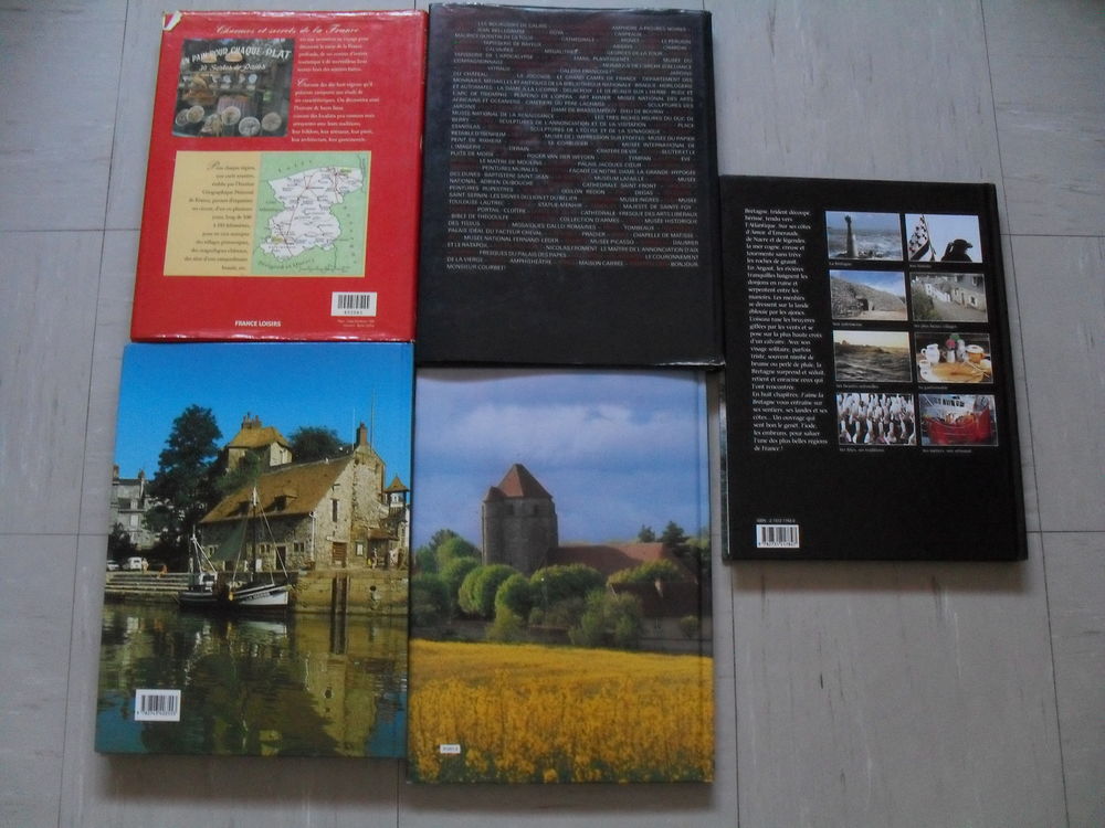 Livres france tourisme g&eacute;ographie architecture Livres et BD