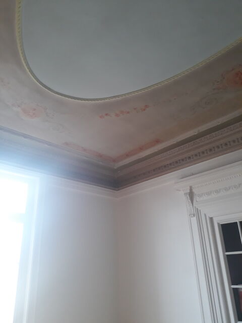  Appartement � louer 8 pi�ces 327 m�