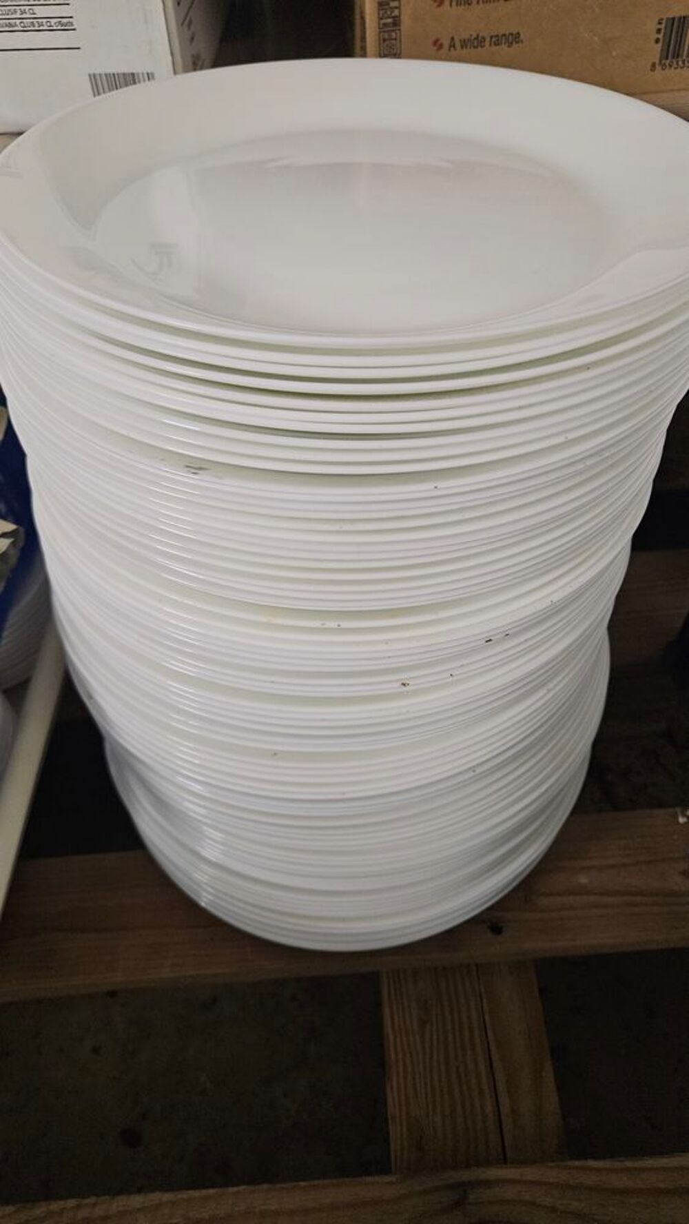 Lot de 260 assiettes Cuisine