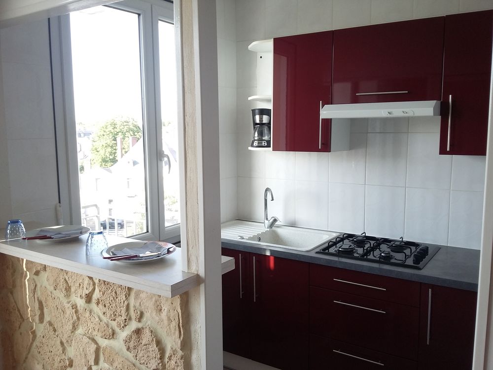 Location Appartement Appartement F1bis  25  meublé   Tours - St Cyr Tours