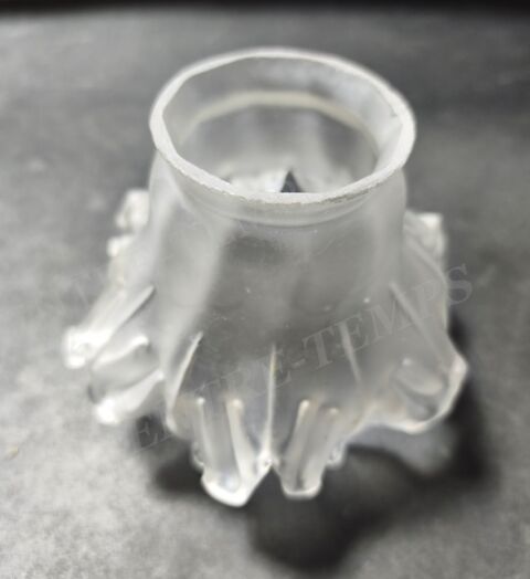 TULIPE DE LAMPE FEUILLE DE VIGNE 19 Sergines (89)