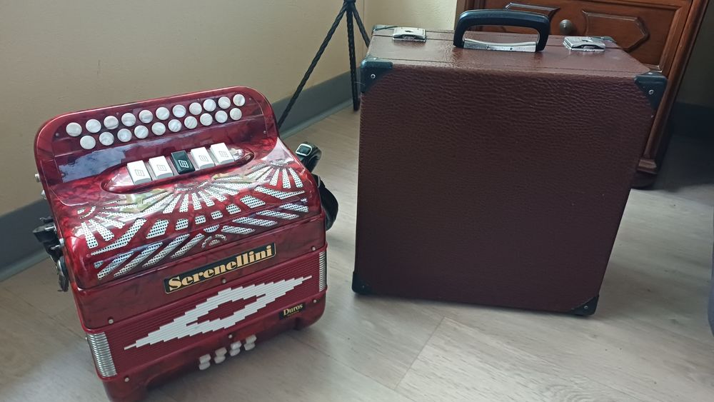 Accord&eacute;on diatonique Instruments de musique
