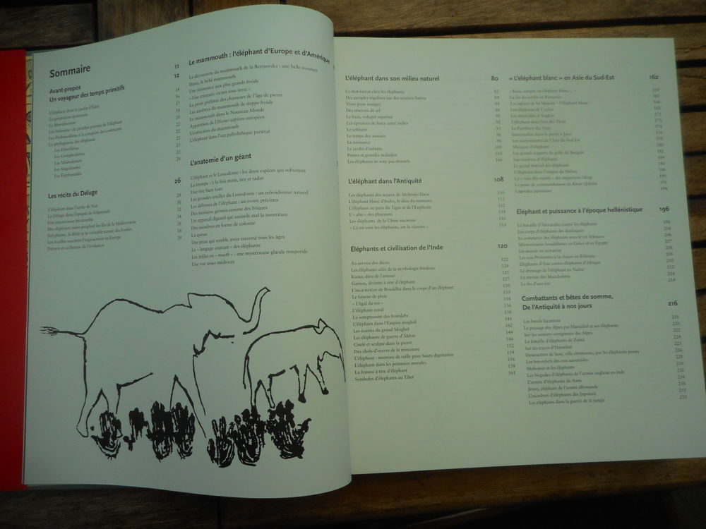 Livre "L'&eacute;l&eacute;phant mythe ou r&eacute;alit&eacute;" Livres et BD