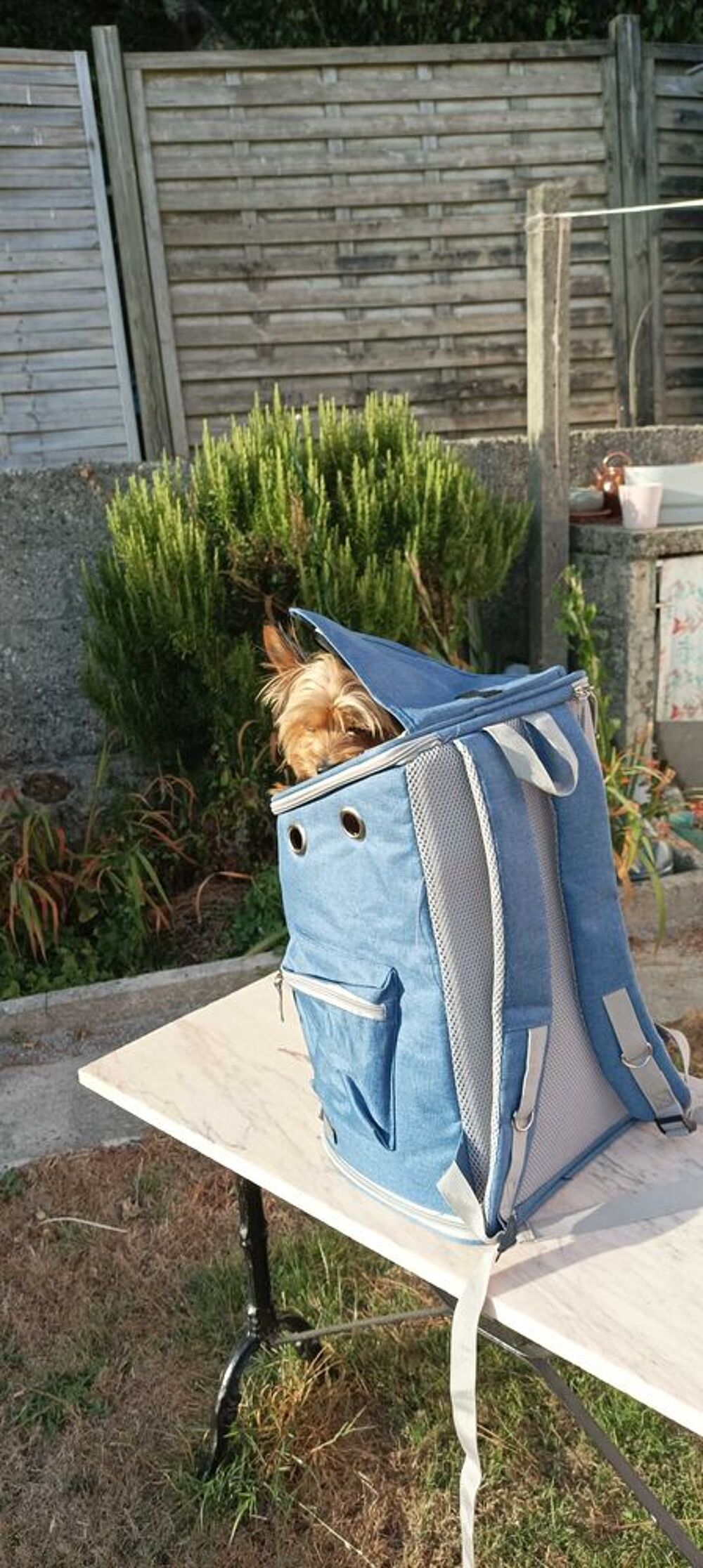 sac &agrave; dos transport petit animal de compagnie Maroquinerie