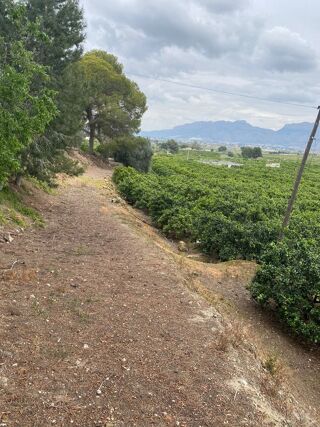  Villa � vendre 3/4 pi�ces 18000 m� Orihuela