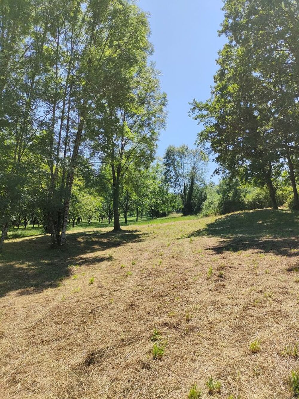 Vente Terrain Terrain de loisir de 1939m2 à Ladornac 24120 belle Vue! La dornac