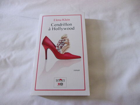 Livre Cendrillon  Hollywood 5 Cannes (06)